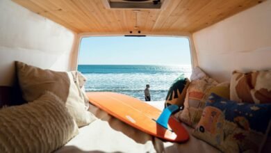 baja alli life adventure