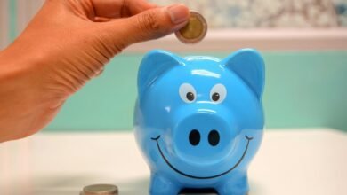hdfc pharma and investment