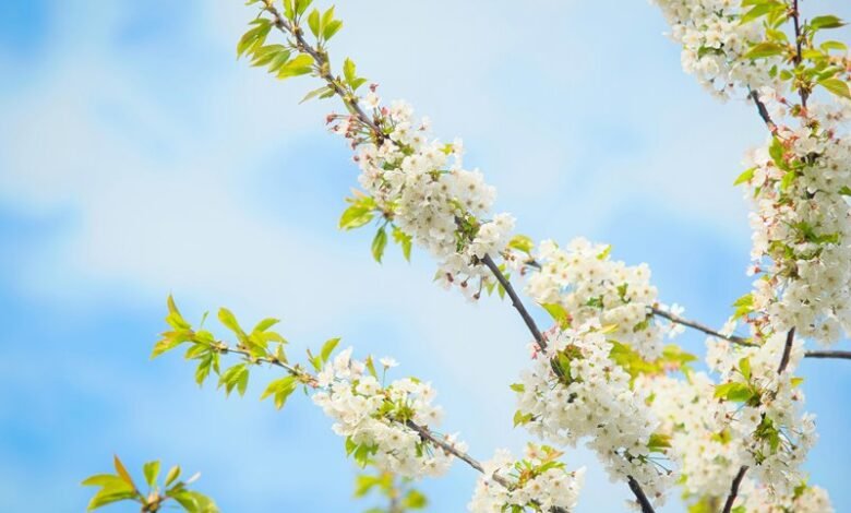 maximize life growth potential