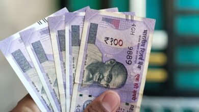 nip indian value code