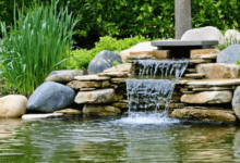 Pond