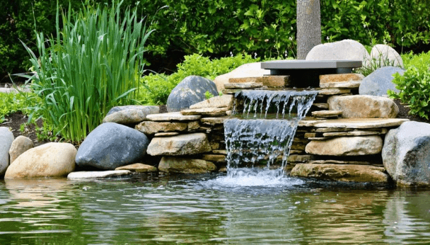 Pond