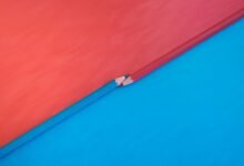 background check tips resource