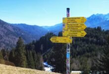 bhagyalaxmi result comprehensive overview