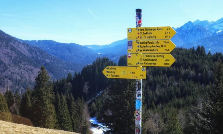 bhagyalaxmi result comprehensive overview