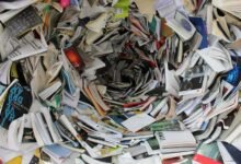 resource allocation for ids