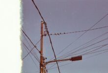 support network for individuals