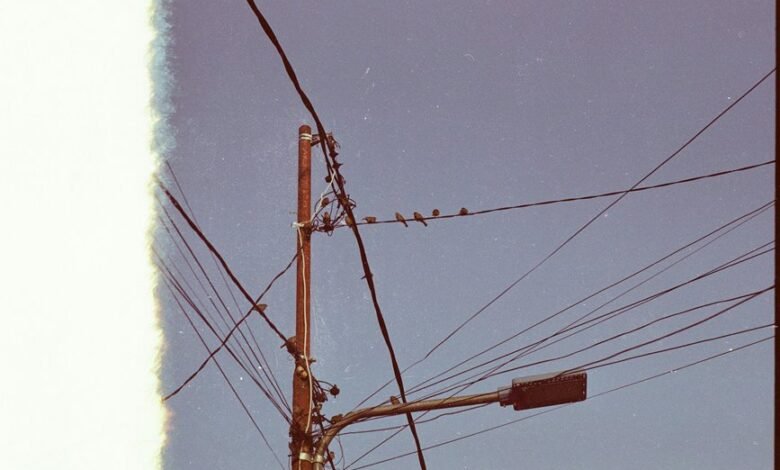 support network for individuals