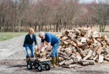 system activity log details