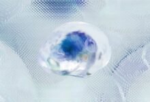 quantum neural technology advancement