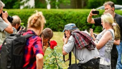 amateurish content gaining traction online