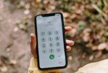 common questions about 8133644313